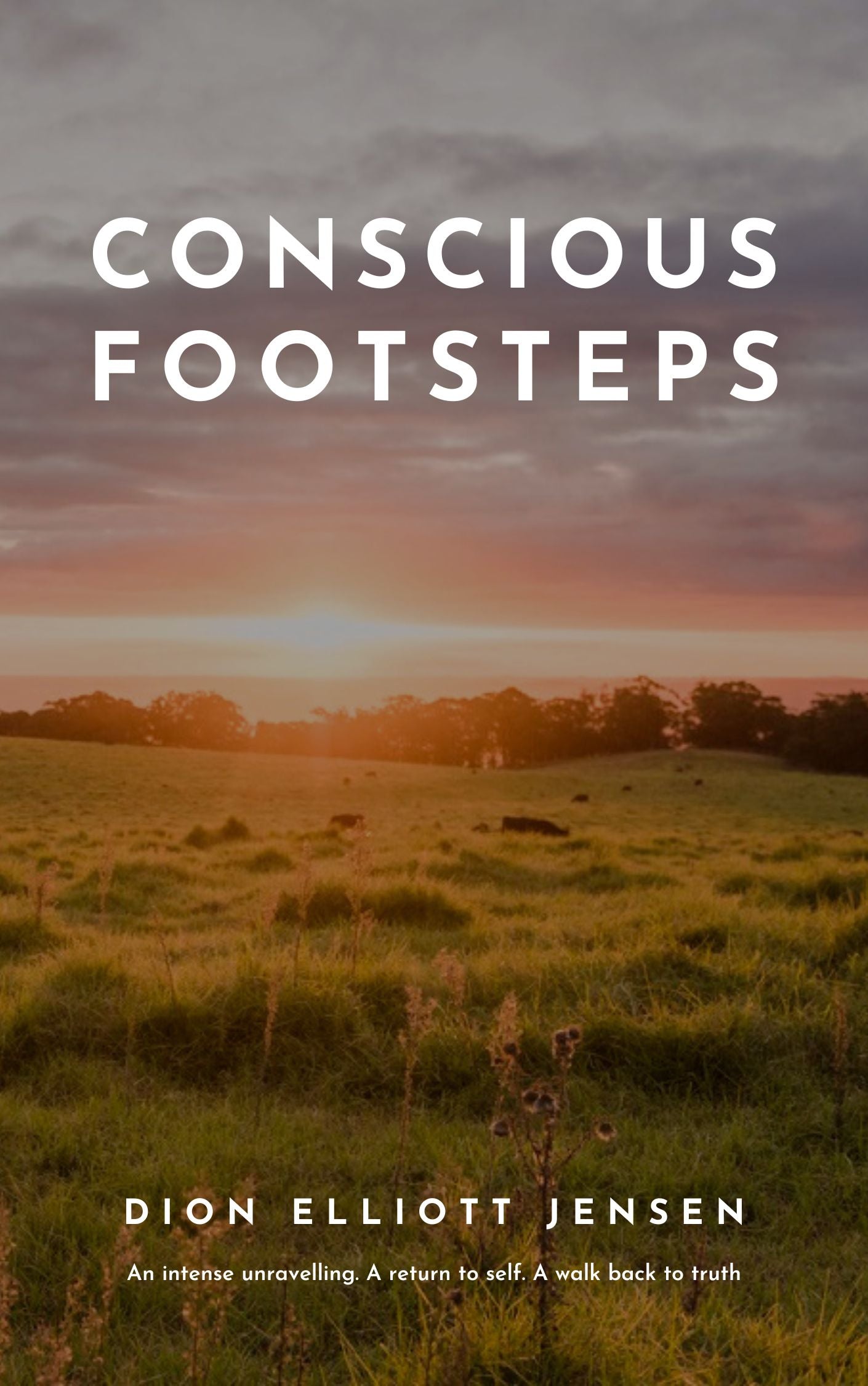 Conscious Footsteps